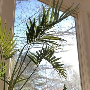 Meet your Posher, Paige